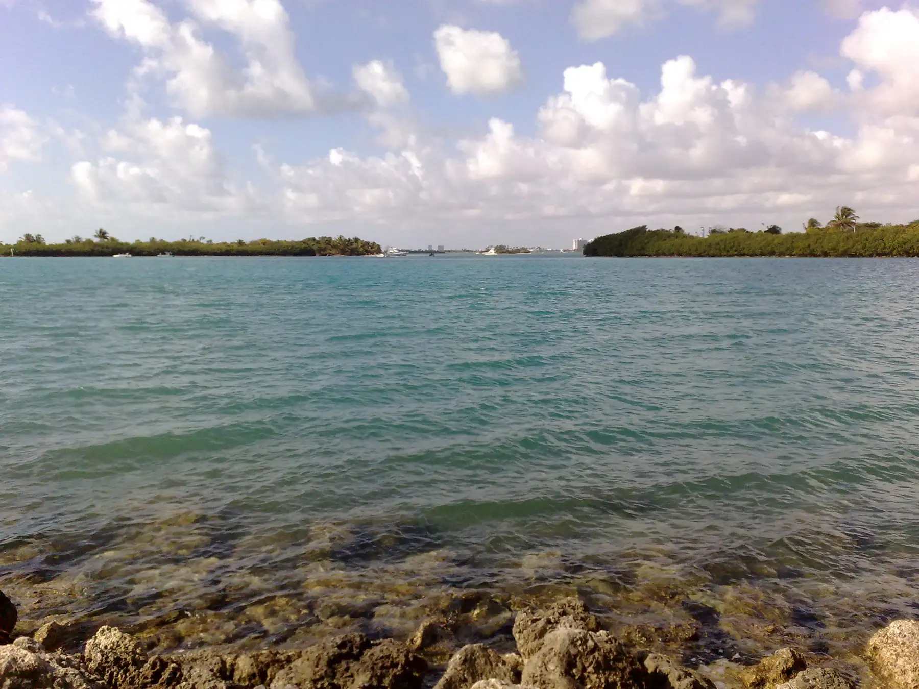 Biscayne Bay from Oleta River State Park — Arlen House, Sunny Isles Beach